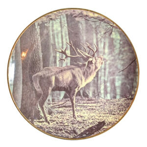Vintage Collector - Deer Plate - Home Decor - Well Cared For - 1980